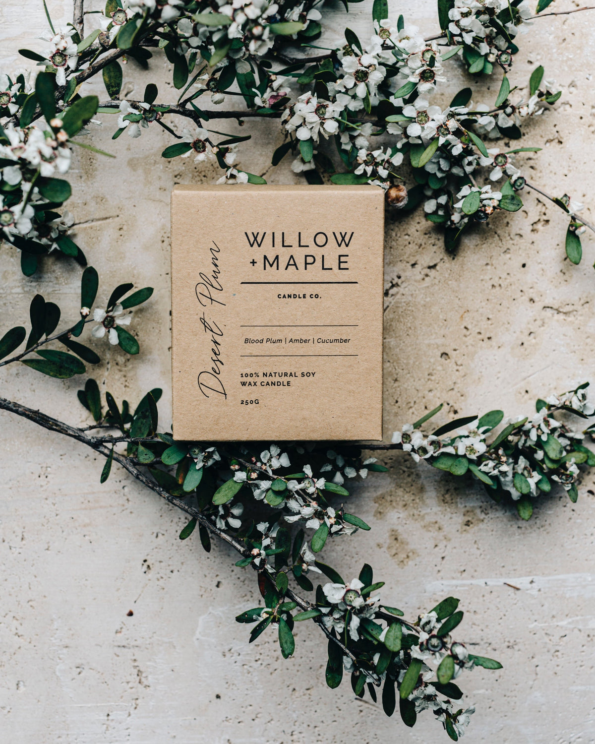 Willow + Maple DESERT PLUM candle