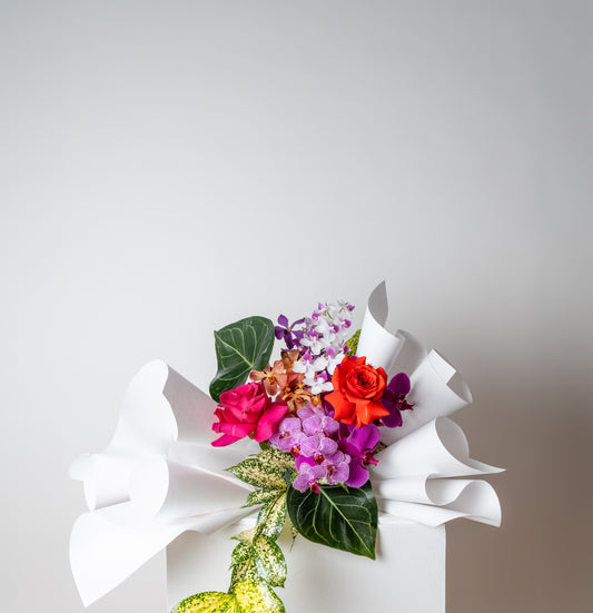 EXOTIC BLOOM