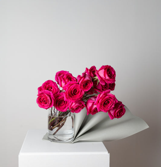 PINK FLOYD ROSES