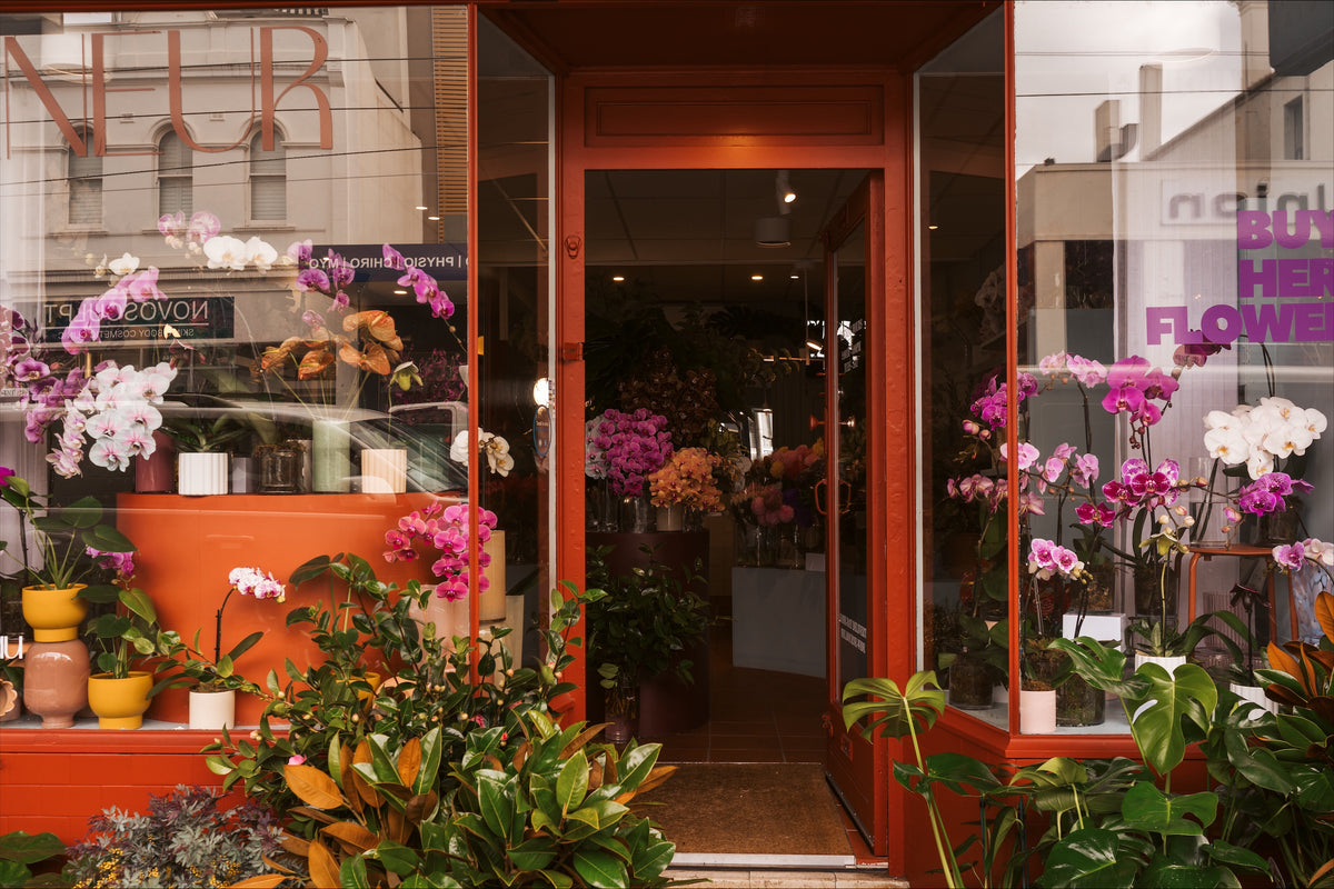 Flaneur Flowers florist storefront with orchids and indoor plants