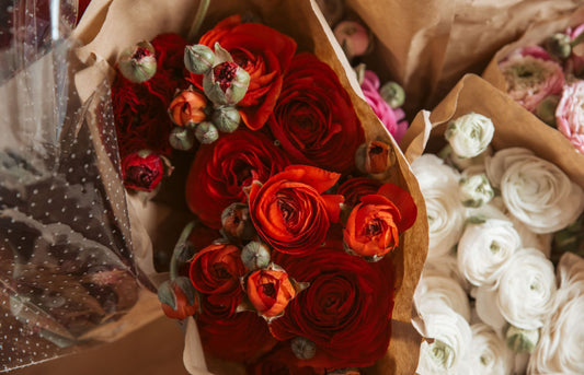 SEASONAL CLUSTER