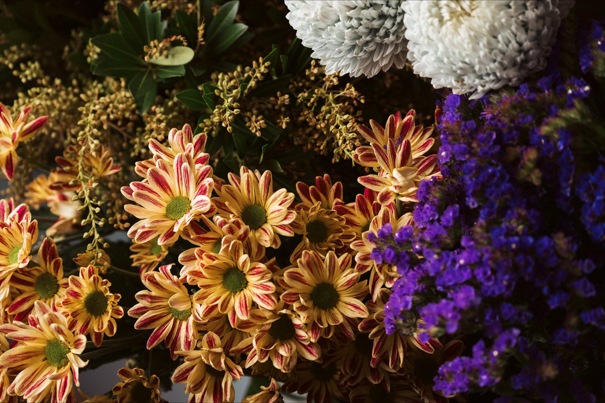 Close-up of autumn-toned seasonal chrysanthemums and purple flowers