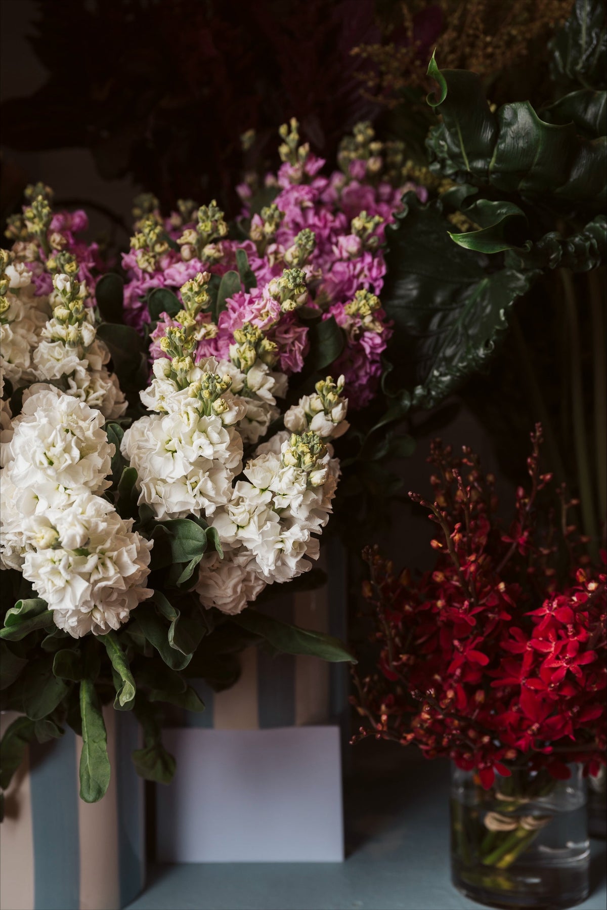 White and pink seasonal flowers in the shop