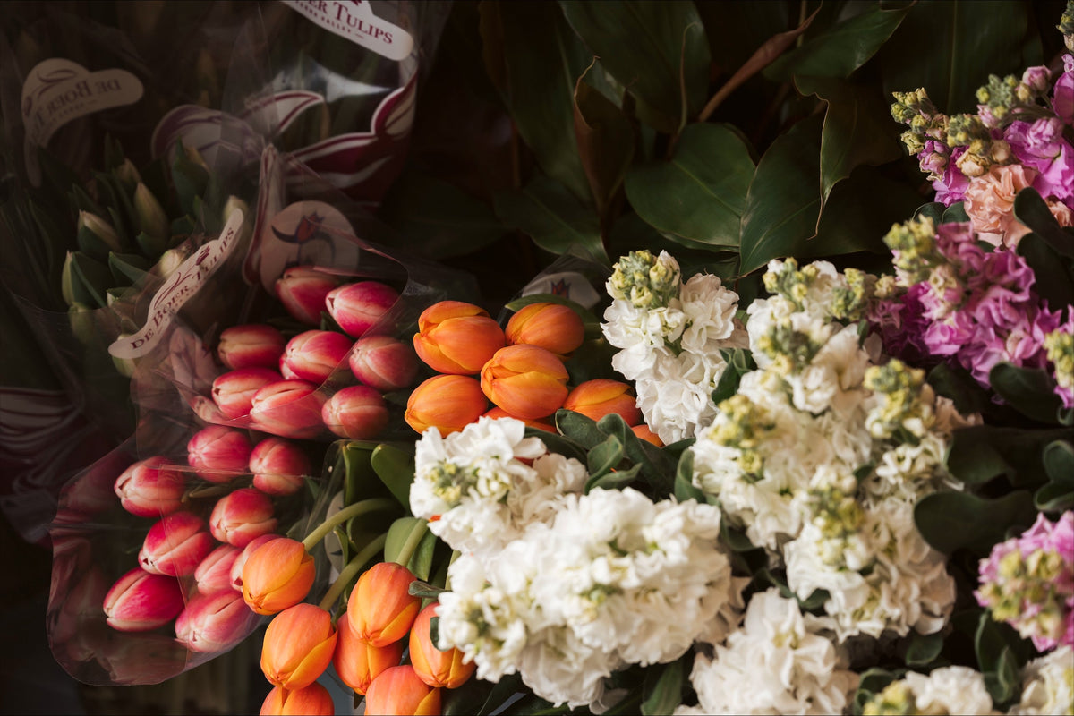 Pink and orange tulips with white seasonal flowers