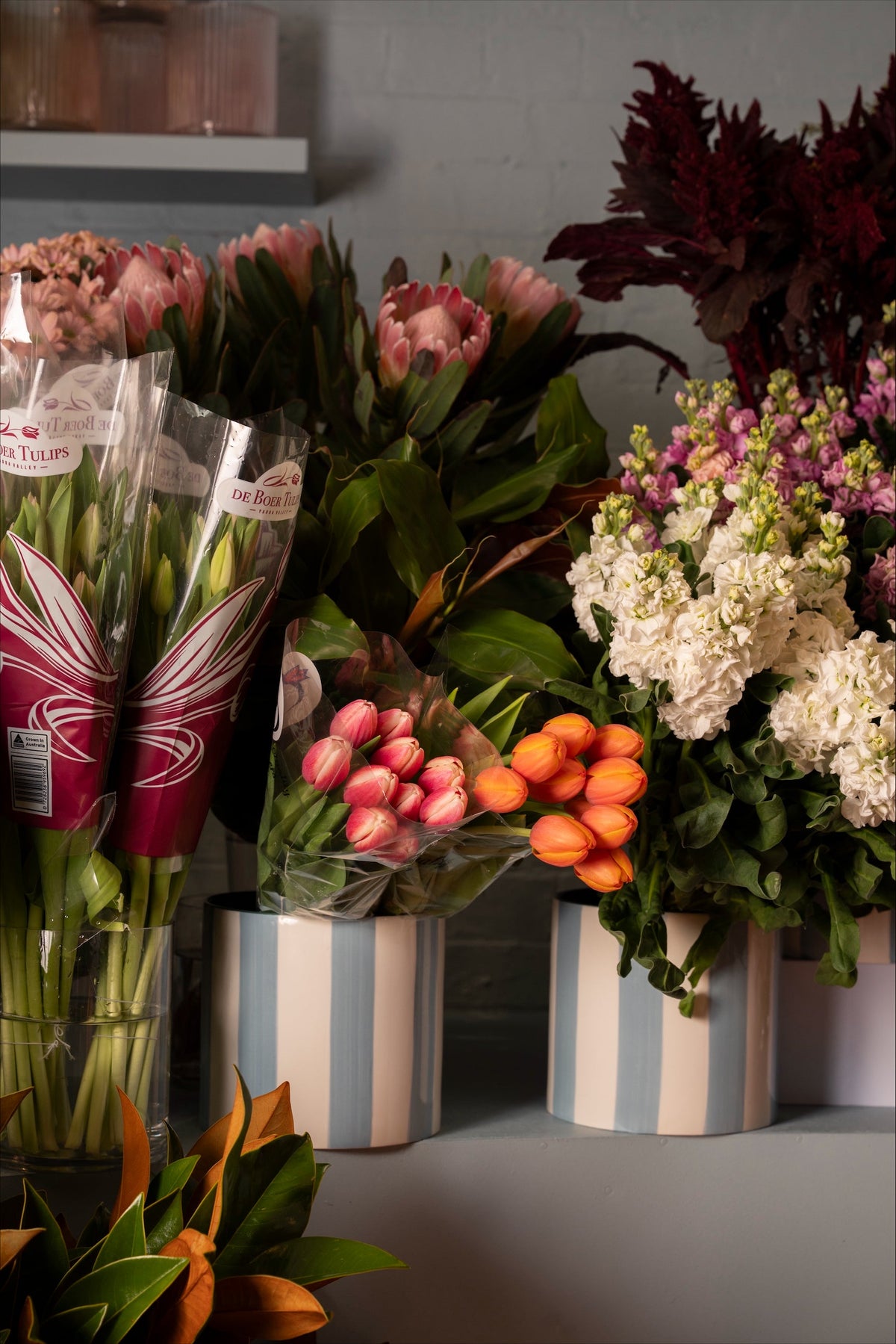 Seasonal flowers including tulips and stock in the shop