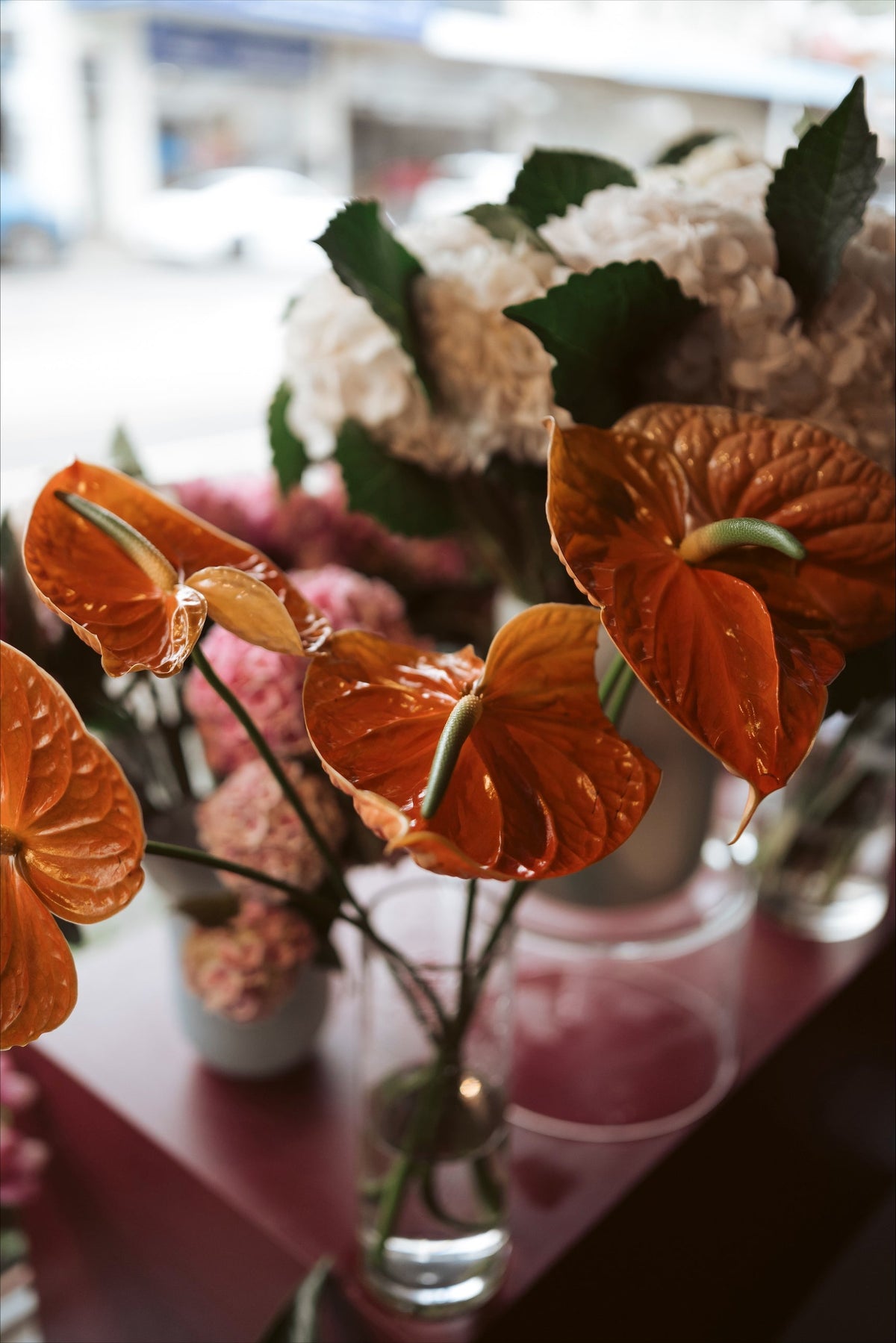 Orange Anthurium tropical flower stems