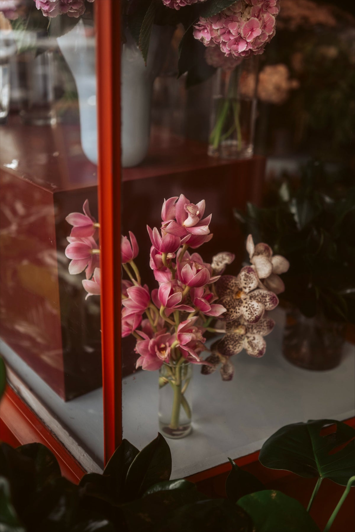 Pink and patterned Orchid tropical flower stems